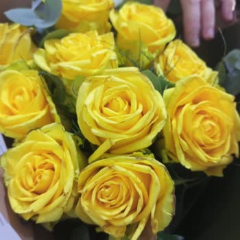 Ofiscicekleri.com Gönderilen Çiçeklerin Çürüklüğü