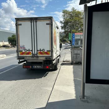 Gedik Piliç Atık Tavuk Çöpleri