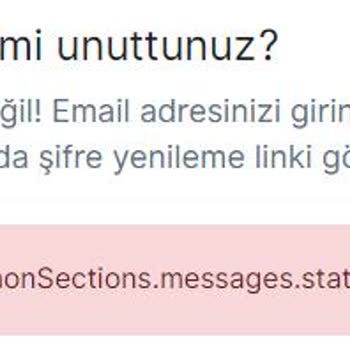 VFS Global Vize Başvurusu- Avusturya