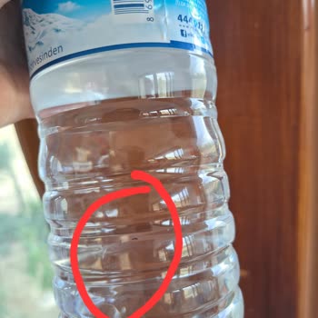 Erikli Pet Su Böcekli Çıktı