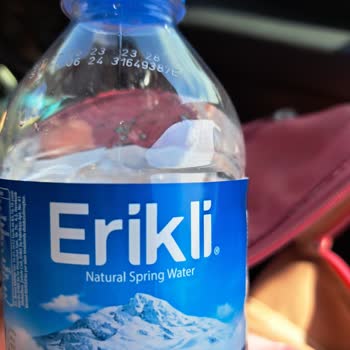 Erikli Pet Su Böcekli Çıktı
