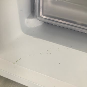 Uğur Soğutma Derin Dondurucunun Değişim Ya Da İade Yapmıyorlar