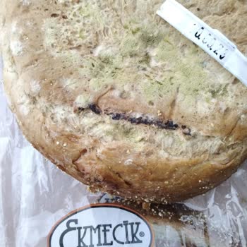 BİM Ekmecik Ekmeği Küflü Çıktı