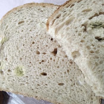 BİM Ekmecik Ekmeği Küflü Çıktı