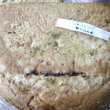 BİM Ekmecik Ekmeği Küflü Çıktı