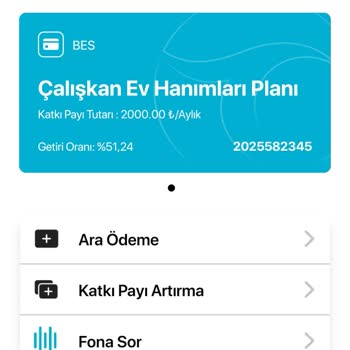 Türkiye Hayat Emeklilik Paramı Geciktiriyor Muhatap Bulamıyoruz