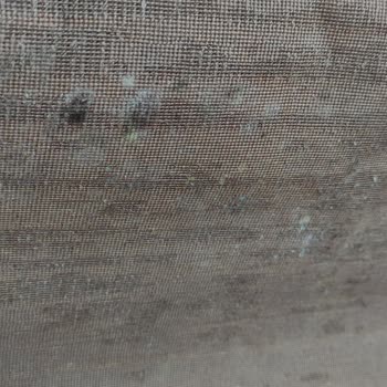 Pakiş Halı Yıkama Fabrikası (Antalya) Yanılttı