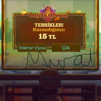 Milli Piyango Oyunda Kazandığım Para Hesaba Yansımadı.