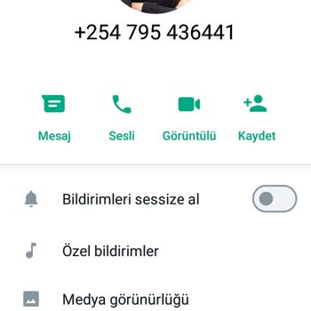 WhatsApp Sesli Çağrı