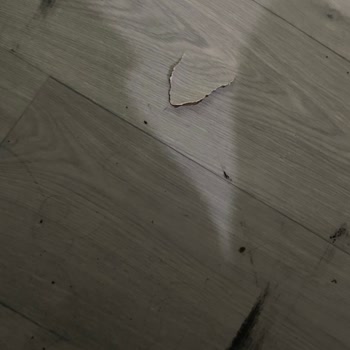 Vestel'in Evime Verdiği Hasar!