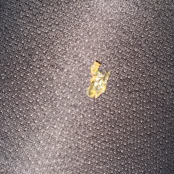 Exotic Meyve Suları Üründe Yabancı Madde Çıkması