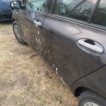 Crystal Hotels Crystal Prestige Elite Otelinde Kötü Bir Tatil