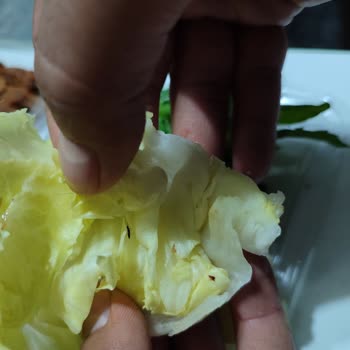 Pis Mekan O Ses Çiğköfte