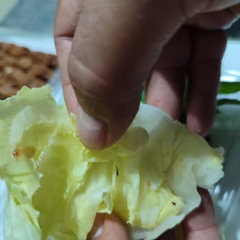Pis Mekan O Ses Çiğköfte