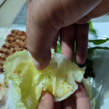 Pis Mekan O Ses Çiğköfte