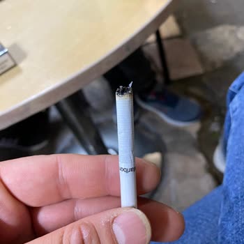 Philip Morris Sigara Sürekli Sönüyor