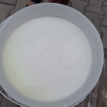 Aldığım İçim Markalı Yoğurdun İçinden Saç Çıktı