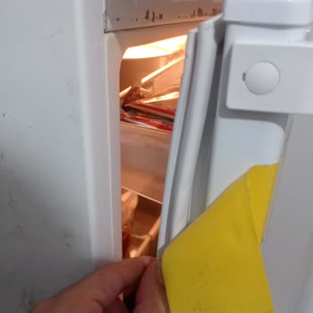 Bosch Markası Ve Yetkili Servisi Buzdolabı Lastiği