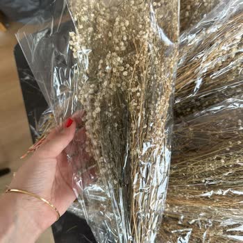 Pampasçiçekdünya (pampas_cicek _dunyas) Sorun Yaşama