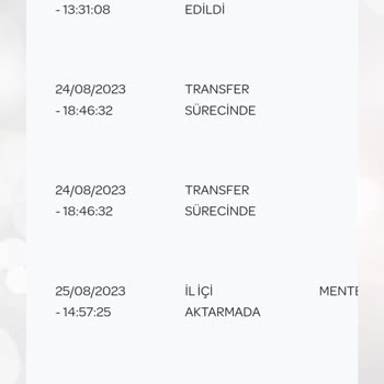 PTT Kargo Kargomuz Sahibine Ulaşmaması