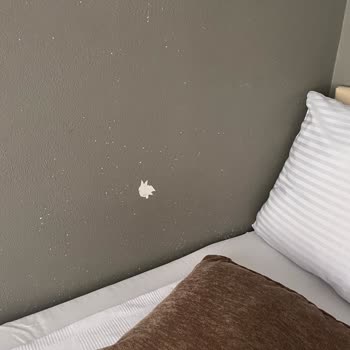 Antik River House Pişmanlığı Ve Göz Yuman Etstur!