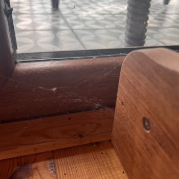 Antik River House Pişmanlığı Ve Göz Yuman Etstur!