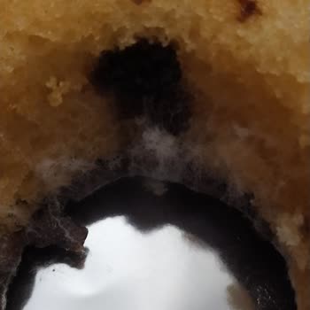 A101 Kekspir Donut Kek Küflü
