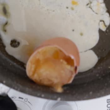 Gordo Yumurta Organik Yumurta Bozuk Çıktı