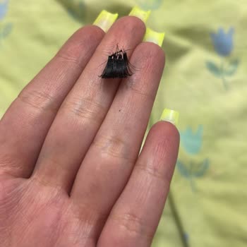 Eyüp Protez Tırnak İpek Kirpik Ve İşletme Kalitesizliği