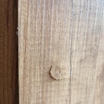 Montajix Montaj Şikayeti Kırmışlar