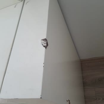 Baran Nakliyat Nakliye Ek Ücret Kırılan Kirlenen Eşyalar!