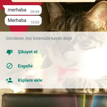 WhatsApp Anlamsız Ve Hayalet Mesaj