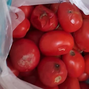 A101 Eksik Ve Bozuk Ürün Gönderdi