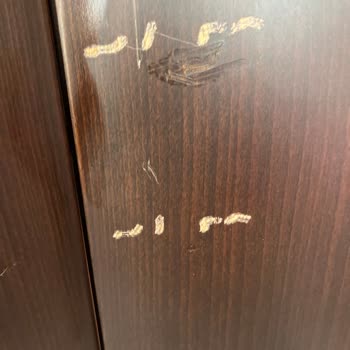 Buğuş Nakliyat Mağdur Etti