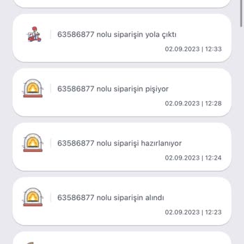 Domino's Pizza Siparişinde Patates Eksikliği