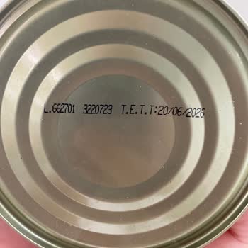 Tamek Konserve Pilaki Böcek Ve Kurt