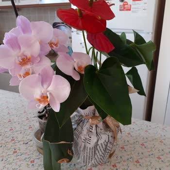 Çiçek Sepeti Ticaret Ahlakınızı Sorgulamalısınız