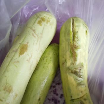 A101 Çürümüş Yumurta Gönderiyorlar