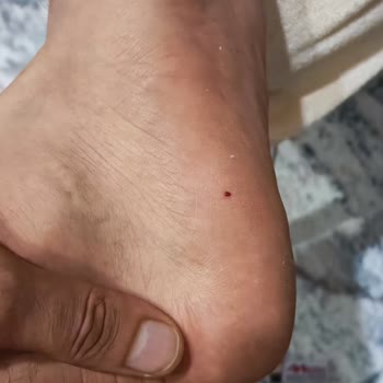 FLO Ayakkabı Alarm Çivisi Bırakılmış
