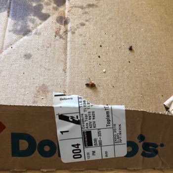 Domino's Pizza'dan Böcek Çıktı