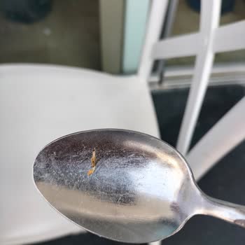 Grand Şahin's Kuşadası Hotel 30 Ağustos 2023 Tarihli Otel Deneyimi