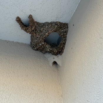 Halal Paradise Didim Otel İnternet Sitesinde Gösterdiklerinden Çok Farklı