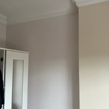 Polisan Katalog İle Uyumsuz Renk ( Yeni Rüya)