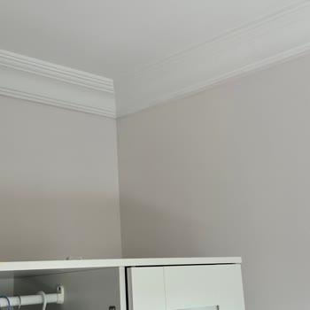 Polisan Katalog İle Uyumsuz Renk ( Yeni Rüya)