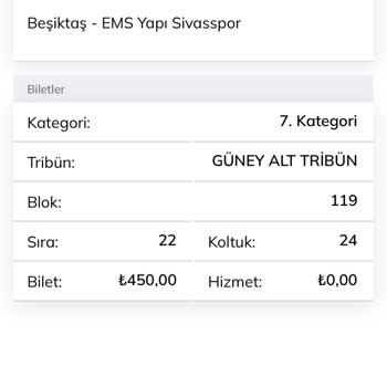 Passolig'in Kurumsal Olmayan Yapısı