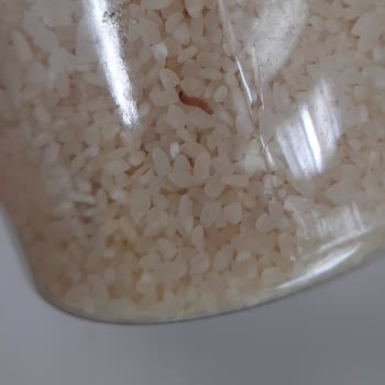 Şehzade Market Bozuk Ürün Satıyor