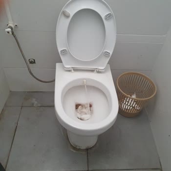 İzmir Büyükşehir Belediyesi Otogar Tuvaletleri Çok Pis