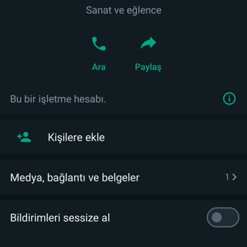 WhatsApp +1 Kodlu Numara Mesaj Attı Şikayetçiyim