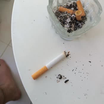 Philip Morris İçinden Ağaç Çıktı