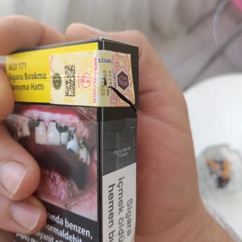 Philip Morris İçinden Ağaç Çıktı
